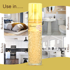Natural Sandal Room Freshener